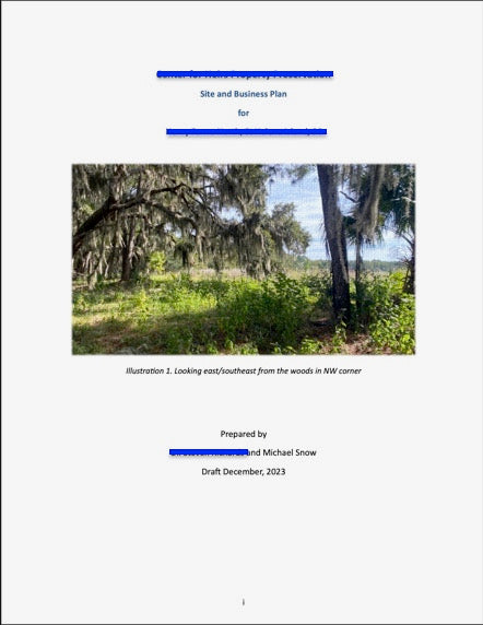 Introductory Conversation